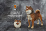 1/6 Shibainu Statue 004(Provisional Pre-order)