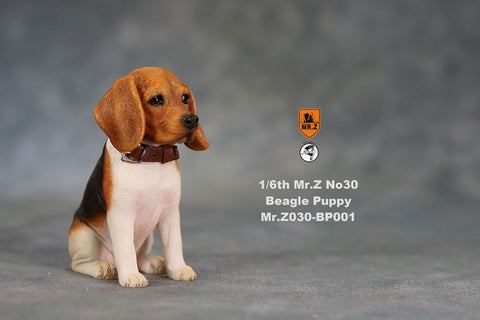 1/6 Beagle Puppy Statue 001(Provisional Pre-order)