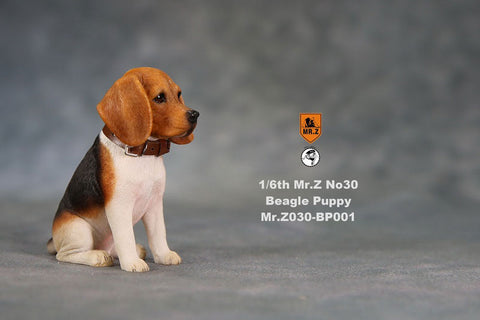 1/6 Beagle Puppy Statue 001(Provisional Pre-order)