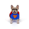 "Cosplay Dog" Collection Figure Series CD #002 Superman