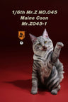 1/6 Maine Coon 1