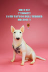 1/6 Tattooed Bullterrier 3
