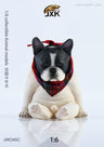 1/6 French Bulldog C