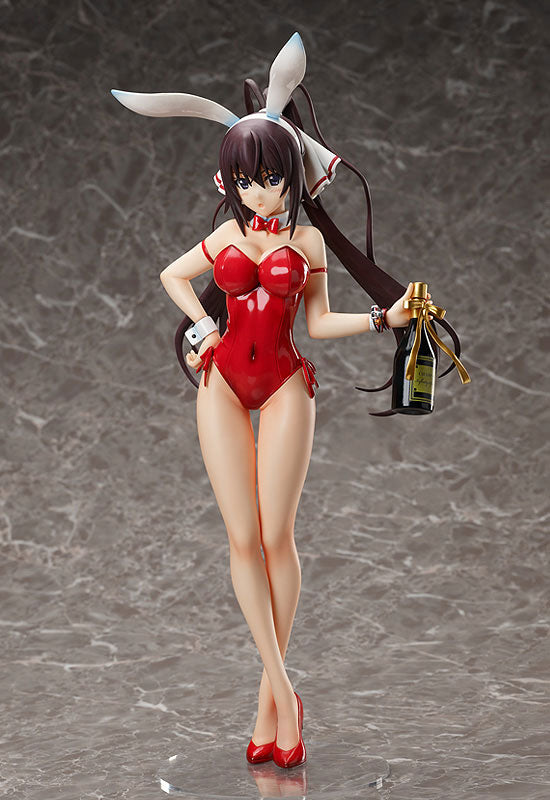 IS: Infinite Stratos 2 - Shinonono Houki - 1/4 - Kitsune Miko ver. (FR -  Solaris Japan