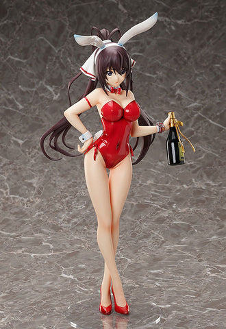 IS: Infinite Stratos - Shinonono Houki - B-style - 1/4 - Bare Leg Bunny Ver. (FREEing)