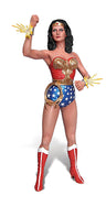 1/8 Wonder Woman TV Ver. Plastic Model