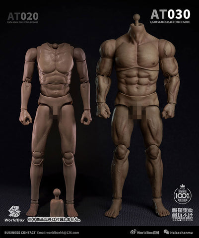 1/6 Male Body Bulky