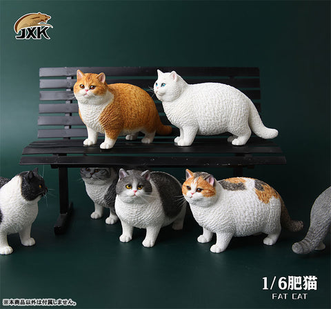 1/6 Fat Cat A
