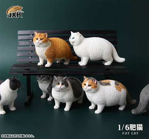 1/6 Fat Cat D