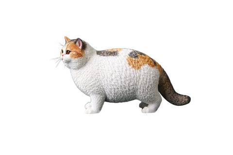 1/6 Fat Cat F