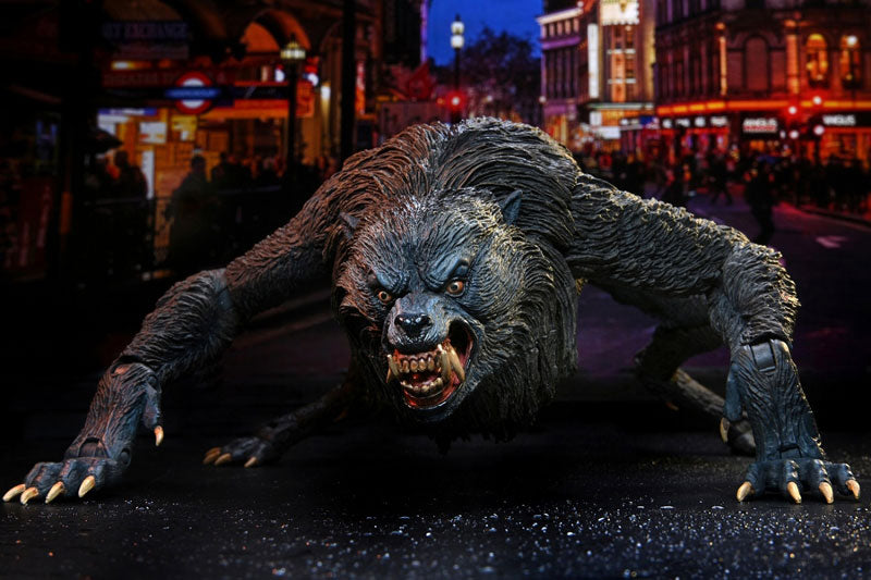 An American Werewolf in London / Werewolf David Kessler Ultimate 7