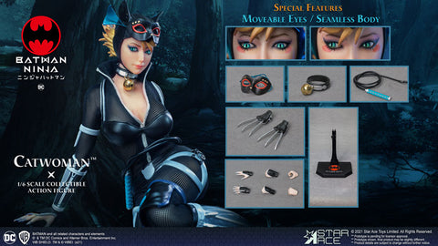 My Favorite Series 1/6 Catwoman Collectable Action Figure