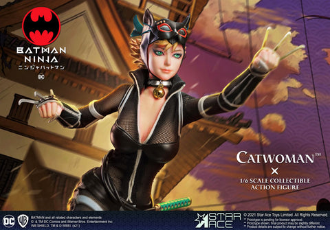 My Favorite Series 1/6 Catwoman Collectable Action Figure