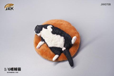 1/6 Cat which Indulge in a Nap B