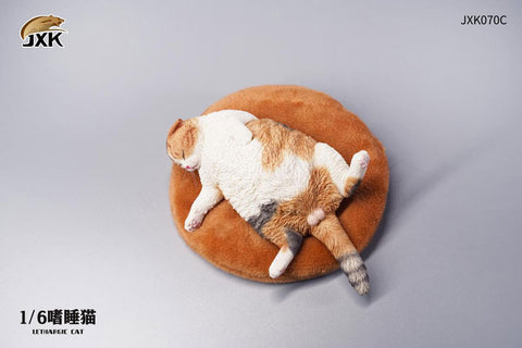 1/6 Cat which Indulge in a Nap C