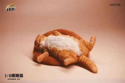 1/6 Cat which Indulge in a Nap E
