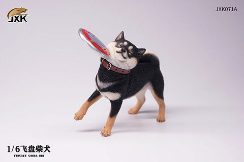 1/6 Shiba-Inu Frisbee A