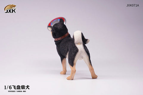 1/6 Shiba-Inu Frisbee A