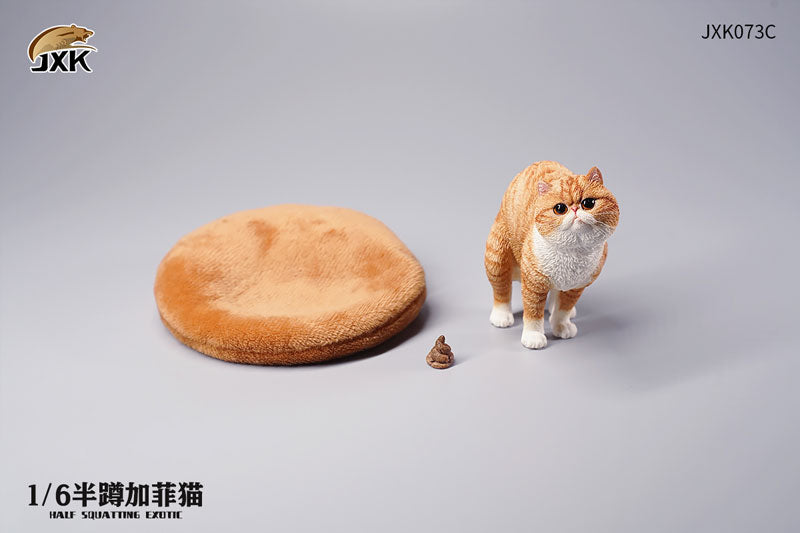 1/6 Exotic Shorthair Cat Half Squat C - Solaris Japan