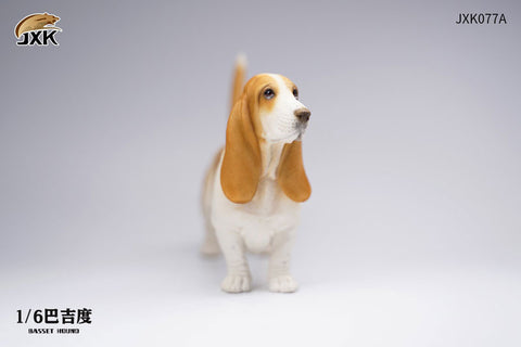 1/6 Basset Hound A
