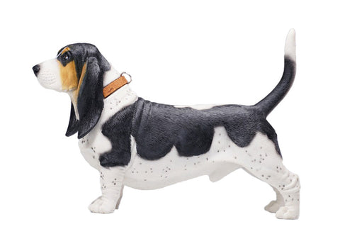 1/6 Basset Hound B