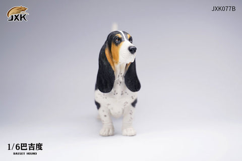 1/6 Basset Hound B