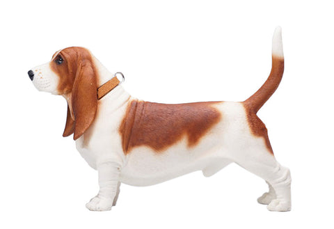1/6 Basset Hound C