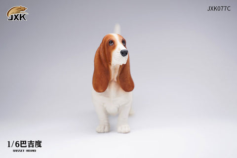 1/6 Basset Hound C