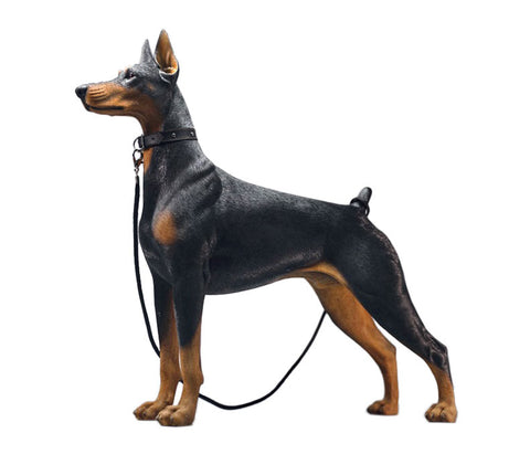 1/3 Doberman A