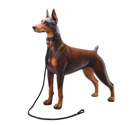 1/3 Doberman B