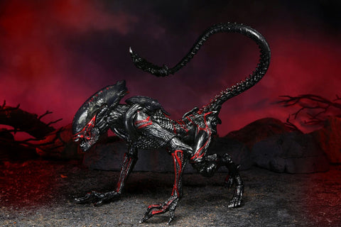 Alien / 7 Inch Action Figure Series Kenner Tribute: Night Cougar Alien