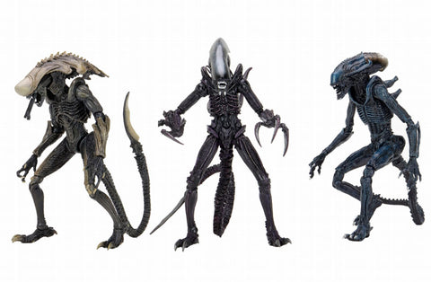 Alien VS Predator / 7 Inch Action Figure Alien Series Movie Decoration: Set of 3Types