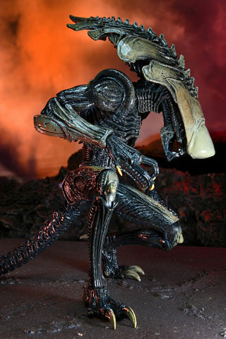 Alien VS Predator / 7 Inch Action Figure Alien Series Movie Decoration: Set of 3Types
