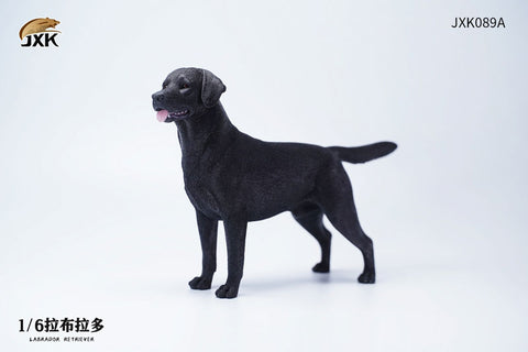 1/6 Labrador A