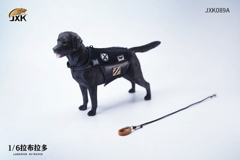 1/6 Labrador A