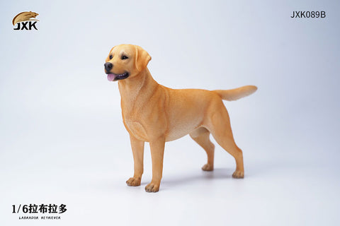 1/6 Labrador B