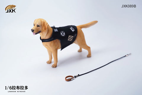 1/6 Labrador B