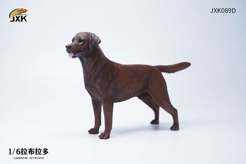 1/6 Labrador D