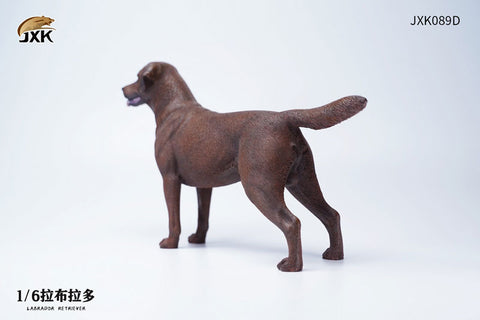1/6 Labrador D