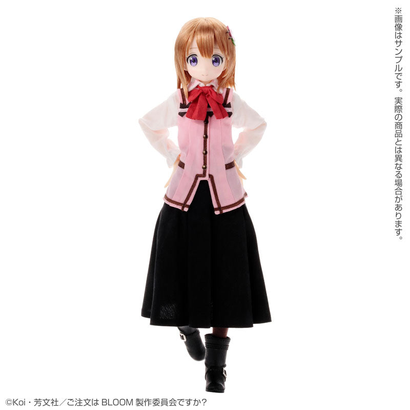 Pure Neemo Character Series - 142 Gochuumon wa Usagi Desu ka? Bloom - -  Solaris Japan