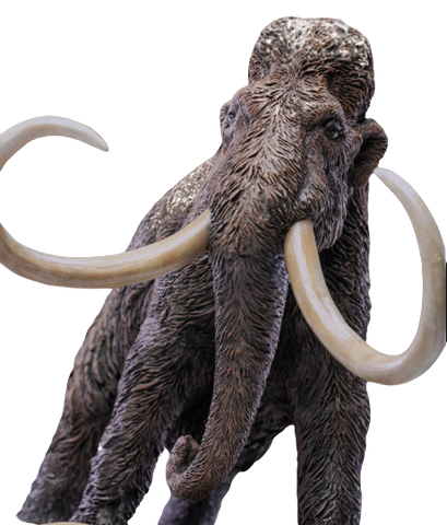 Wonders of the Wild Series - Woolly Mammoth (Star Ace Toys)