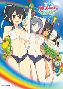 SENRAN KAGURA PEACH BEACH SPLASH - Official Illustration Collection
