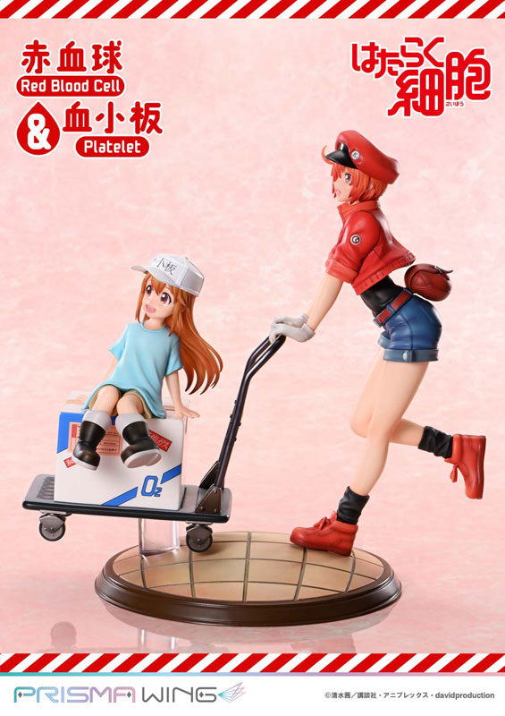 AE3803, Platelet - Hataraku Saibou