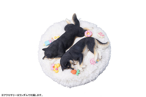 1/6 Sleeping Shiba Inu Set C2