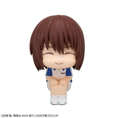Shin Tennis no Oujisama - Fuji Shuusuke - Look Up (MegaHouse)