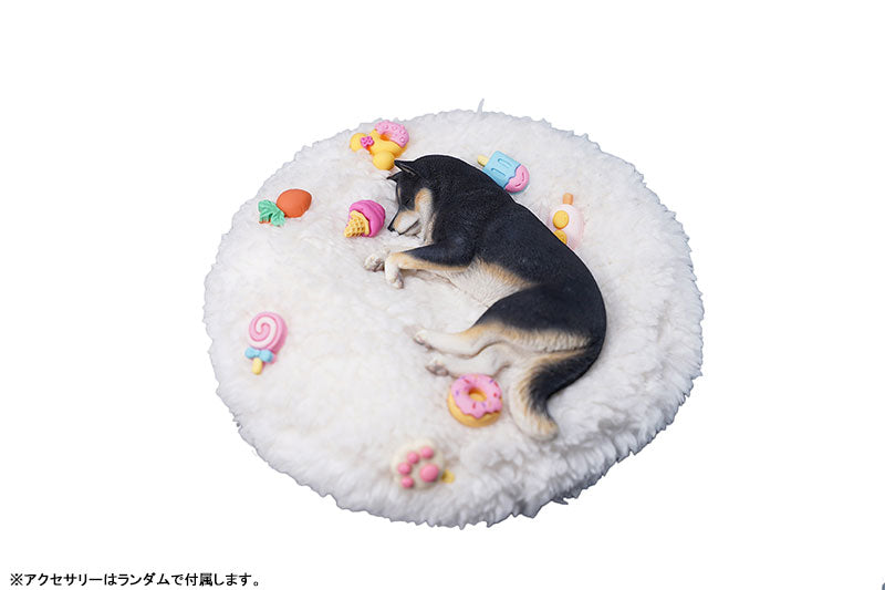 1/6 Sleeping Shiba Inu B2