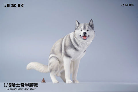 1/6 Siberian Husky Half Squat B