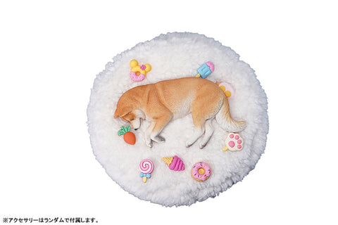 1/6 Sleeping Shiba Inu B1