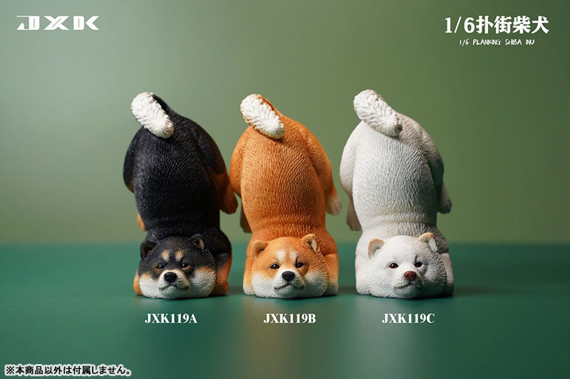 1/6 Planking Shiba Inu C