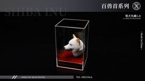 1/6 Head Shiba Inu A